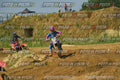 Foto GARAFMI2106261PROVAMX1MX2-888 numero 888
