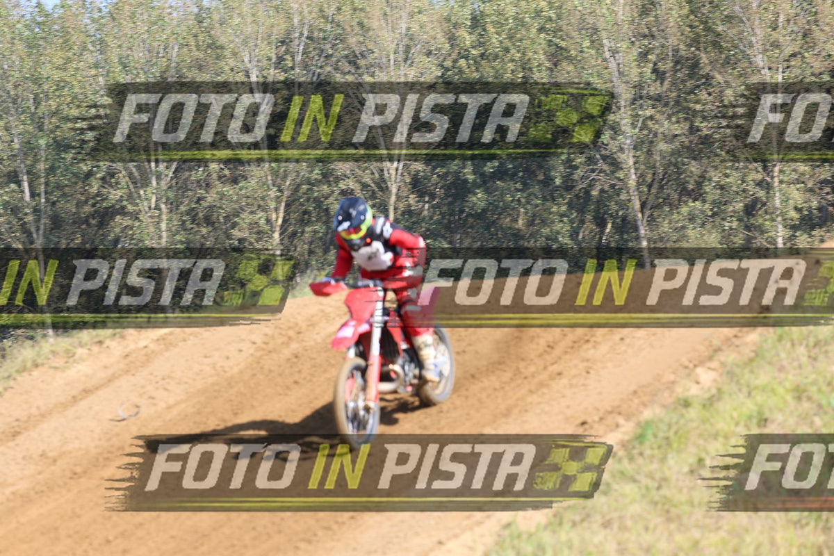 ~ Altre foto · JD9A3241