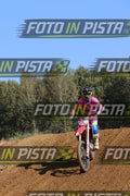 ~ Altre foto · JD9A3356