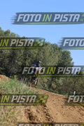 ~ Altre foto · JD9A3590