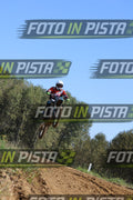 ~ Altre foto · JD9A3628