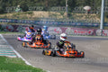 GOKART 619 · JD9A4446