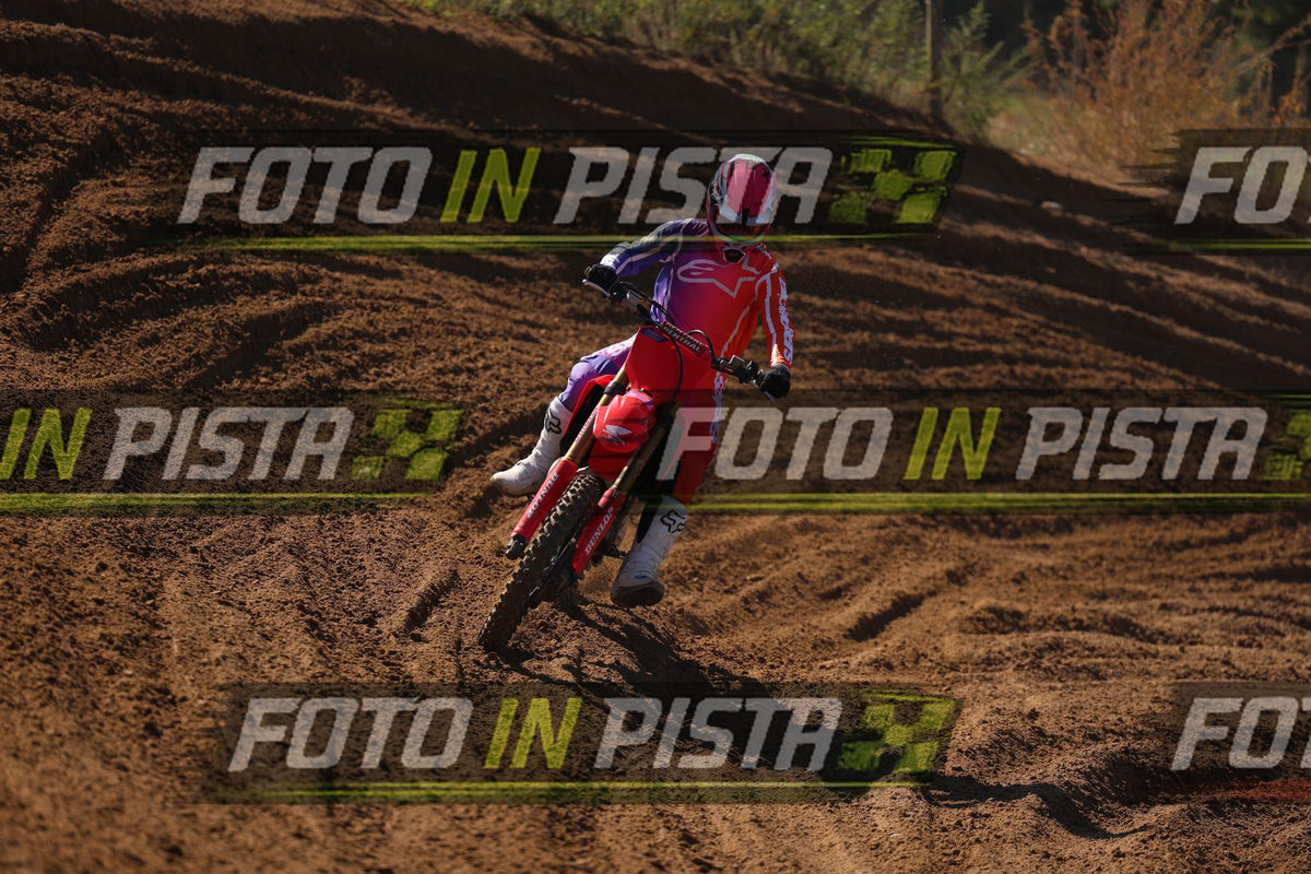 MATTIA · JD9A5520