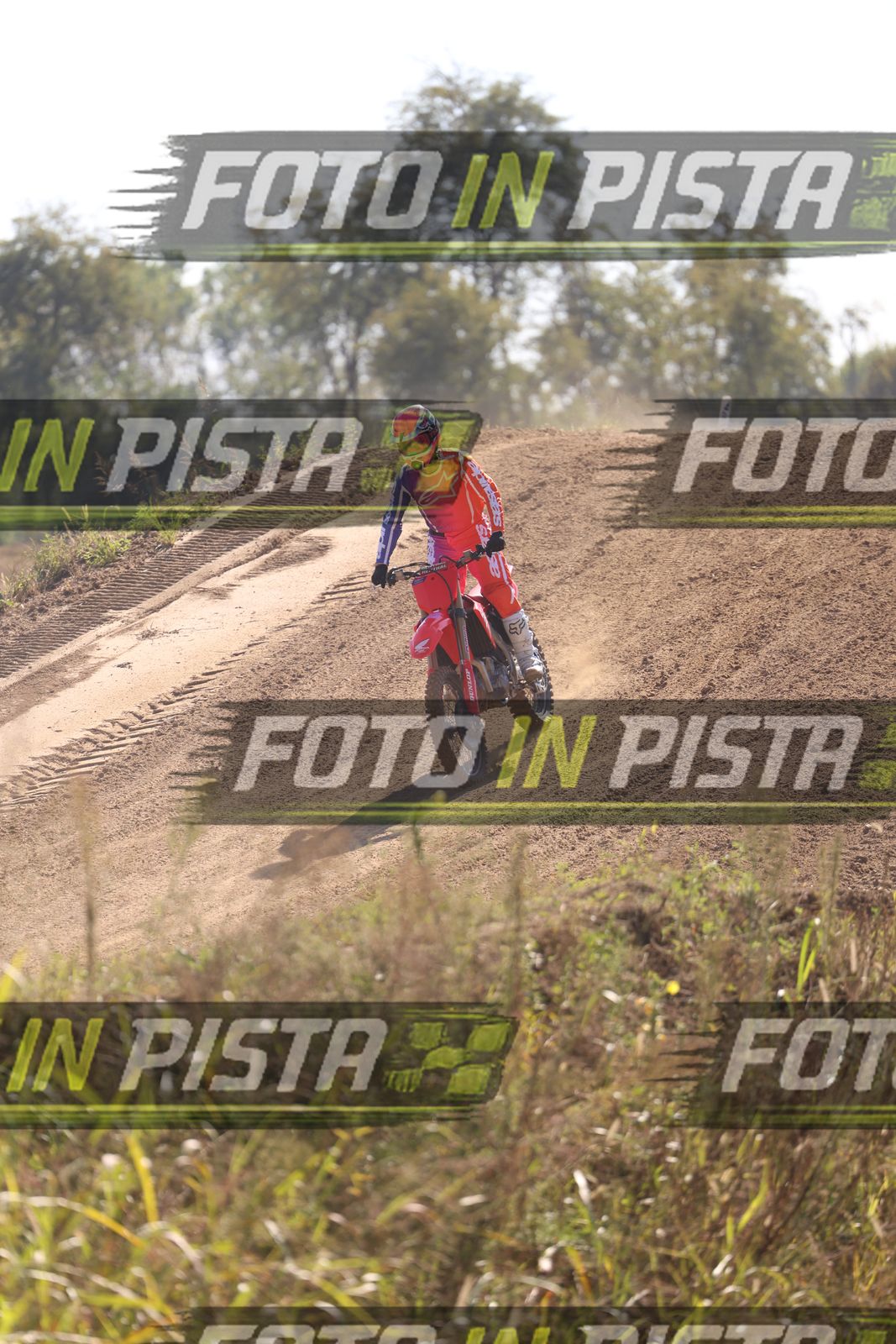 MATTIA · JD9A6036