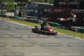 Foto KART.040726.GRUPPOA281