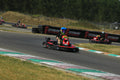 Foto KART.040726.GRUPPOD84