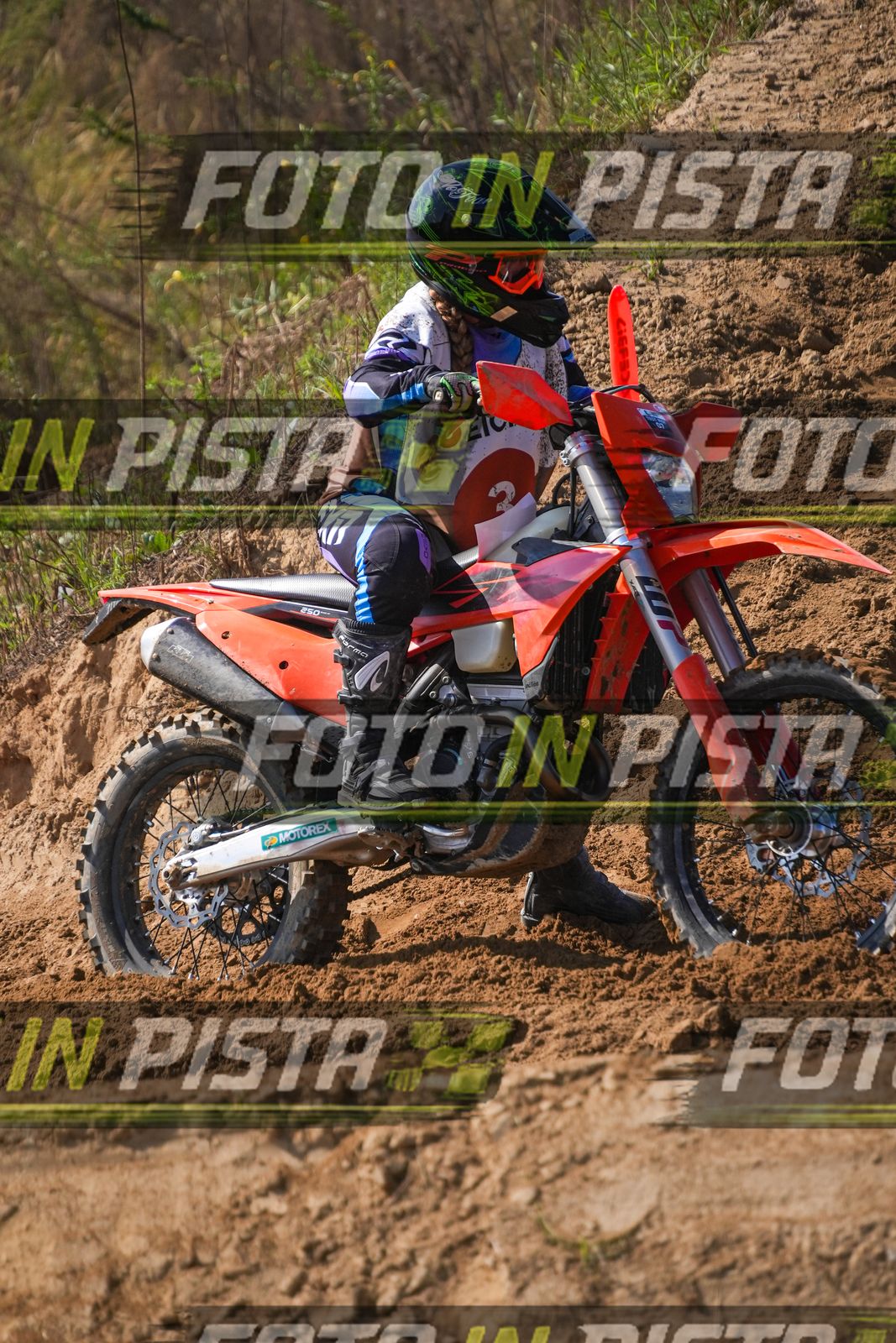 EICMA 19-09 14:00-15:00 · LAL00186