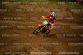 Scatto #353 - Pilota Moto 20 - MOTORNEXT.020626.MINICROSS65water