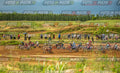 Scatto #4 - Pilota Gruppi o Piu Moto - MOTORNEXT.020626.MINICROSS65water