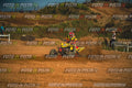 MOTORNEXT3105QUADEXPERT-1220