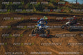 MOTORNEXT3105QUADEXPERT-323