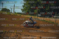 MOTORNEXT3105QUADEXPERT-354