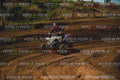 MOTORNEXT3105QUADEXPERT-361