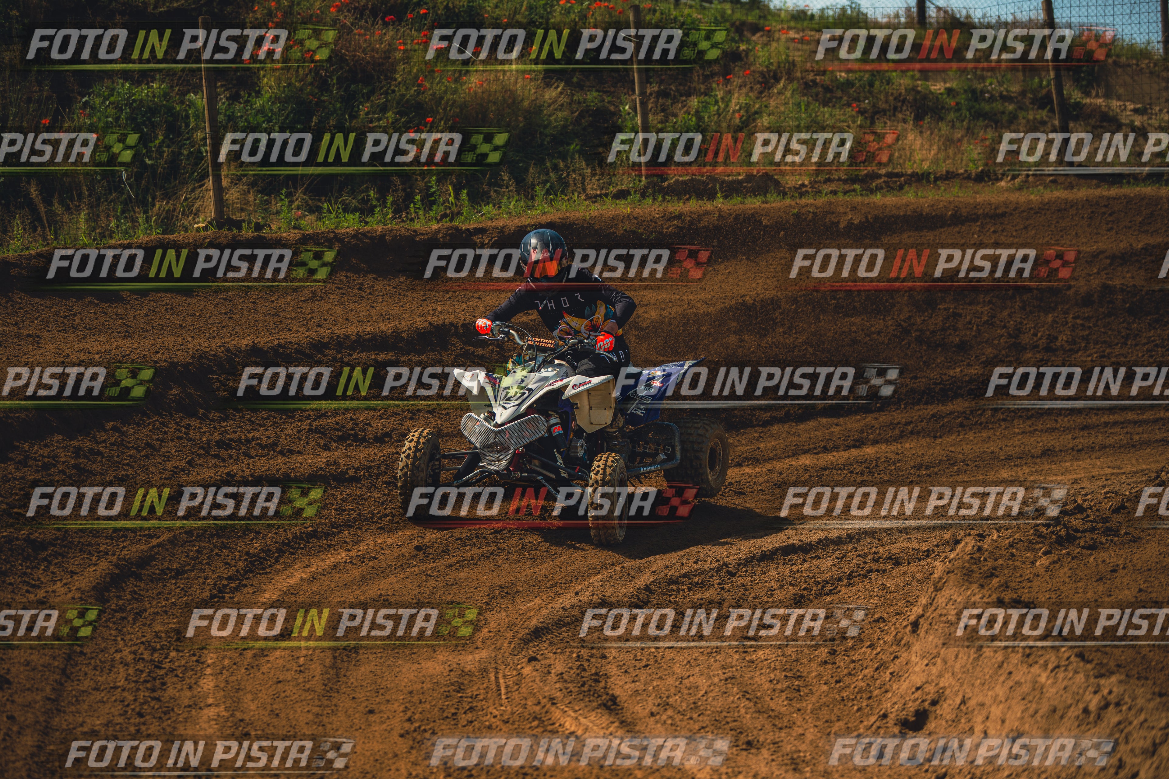 MOTORNEXT3105QUADEXPERT-363