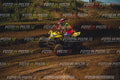 MOTORNEXT3105QUADEXPERT-382
