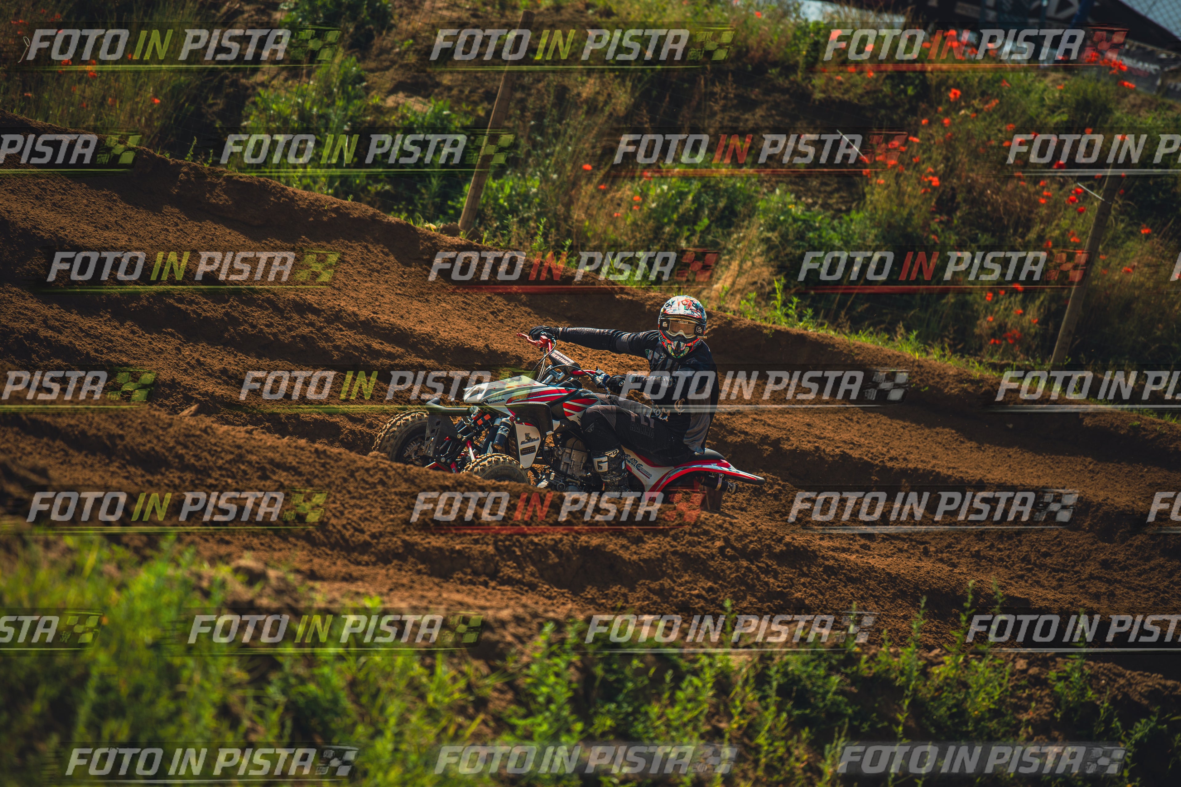 MOTORNEXT3105QUADEXPERT-412