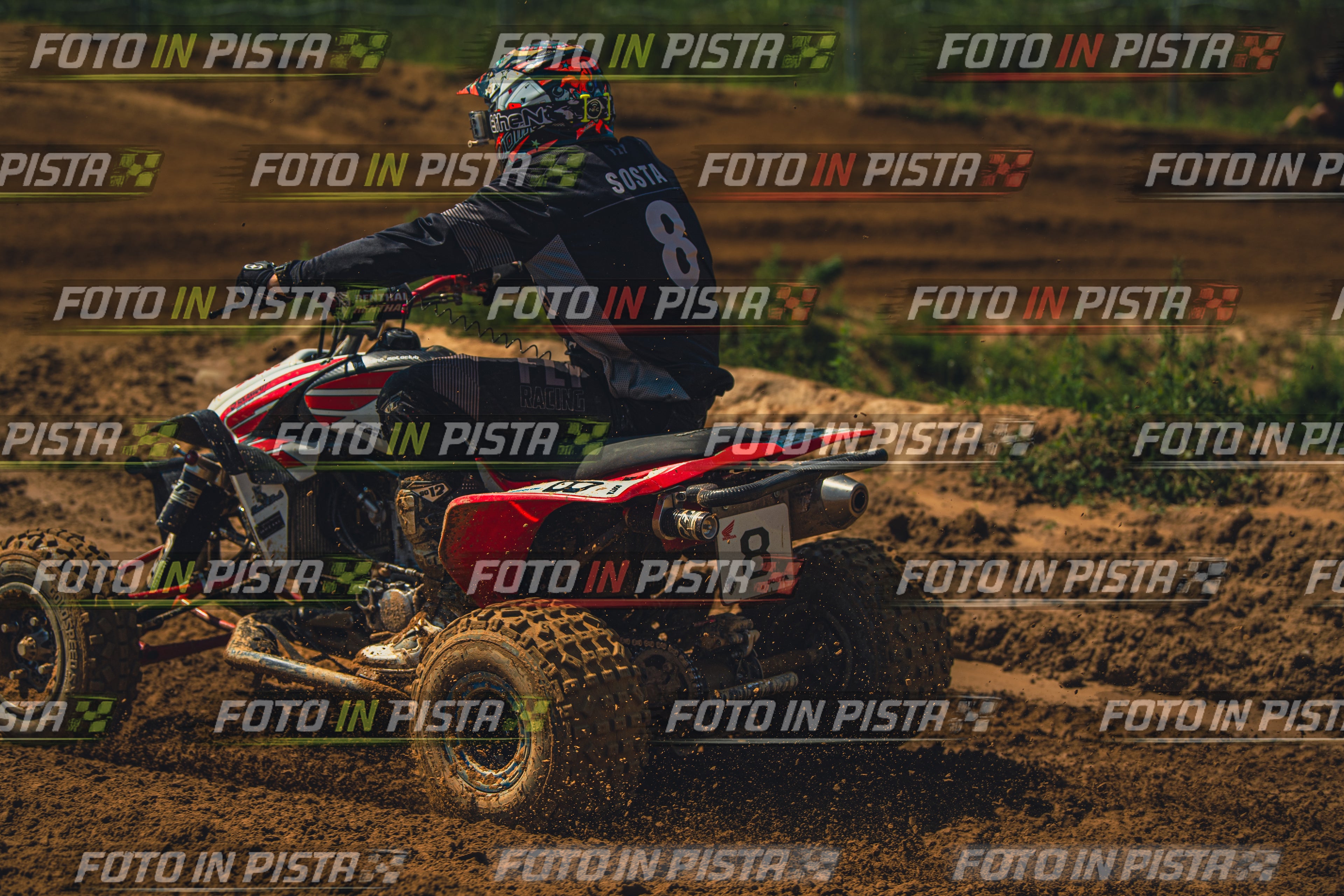MOTORNEXT3105QUADEXPERT-511