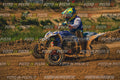 MOTORNEXT3105QUADEXPERT-515