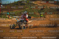 MOTORNEXT3105QUADEXPERT-619