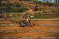 MOTORNEXT3105QUADEXPERT-674