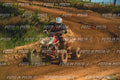 MOTORNEXT3105QUADEXPERT-784
