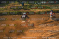 MOTORNEXT3105QUADEXPERT-795