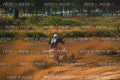 MOTORNEXT3105QUADEXPERT-796