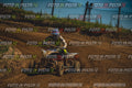 MOTORNEXT3105QUADEXPERT-822