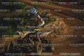 MOTORNEXT3105QUADEXPERT-829
