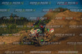 MOTORNEXT3105QUADEXPERT-905