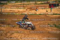MOTORNEXT3105QUADEXPERT-96