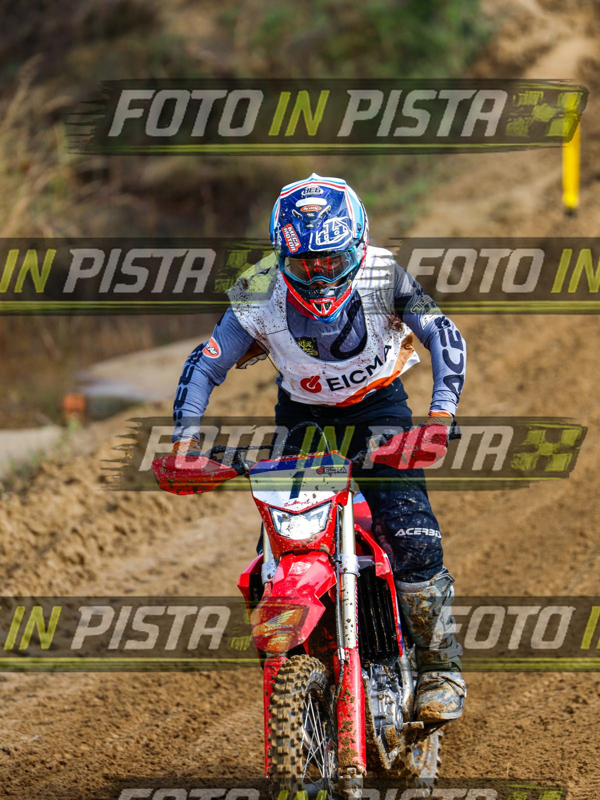 EICMA 19-09 11:00-12:00 · _X9A1393