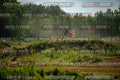 MOTORNEXTEPOCAMXINTERREGIONALE3105-58