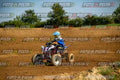 MOTORNEXTQUADSPORTYOUNG3105-199