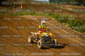 MOTORNEXTQUADSPORTYOUNG3105-337