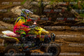 MOTORNEXTQUADSPORTYOUNG3105-285