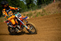 MOTORNEXT3105MINICROSS5065-54