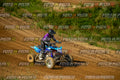MOTORNEXTQUADSPORTYOUNG3105-350